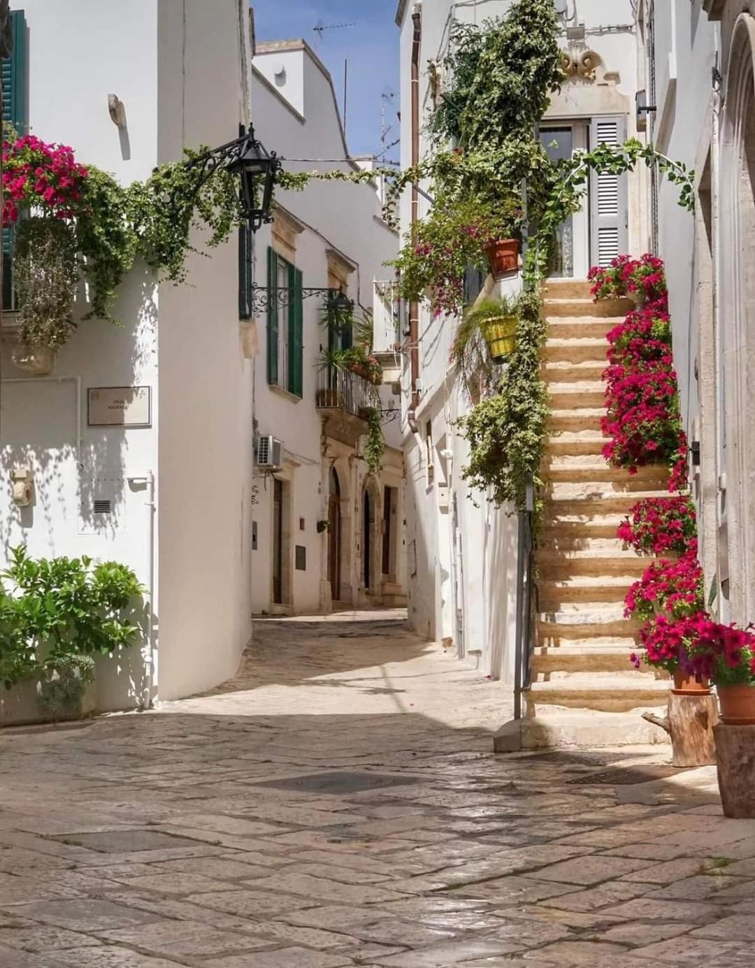 Dimora Fiorita Villa Martina Franca Dış mekan fotoğraf
